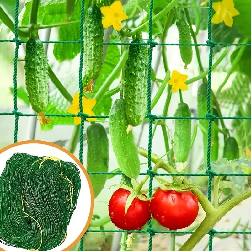 Home & Garden